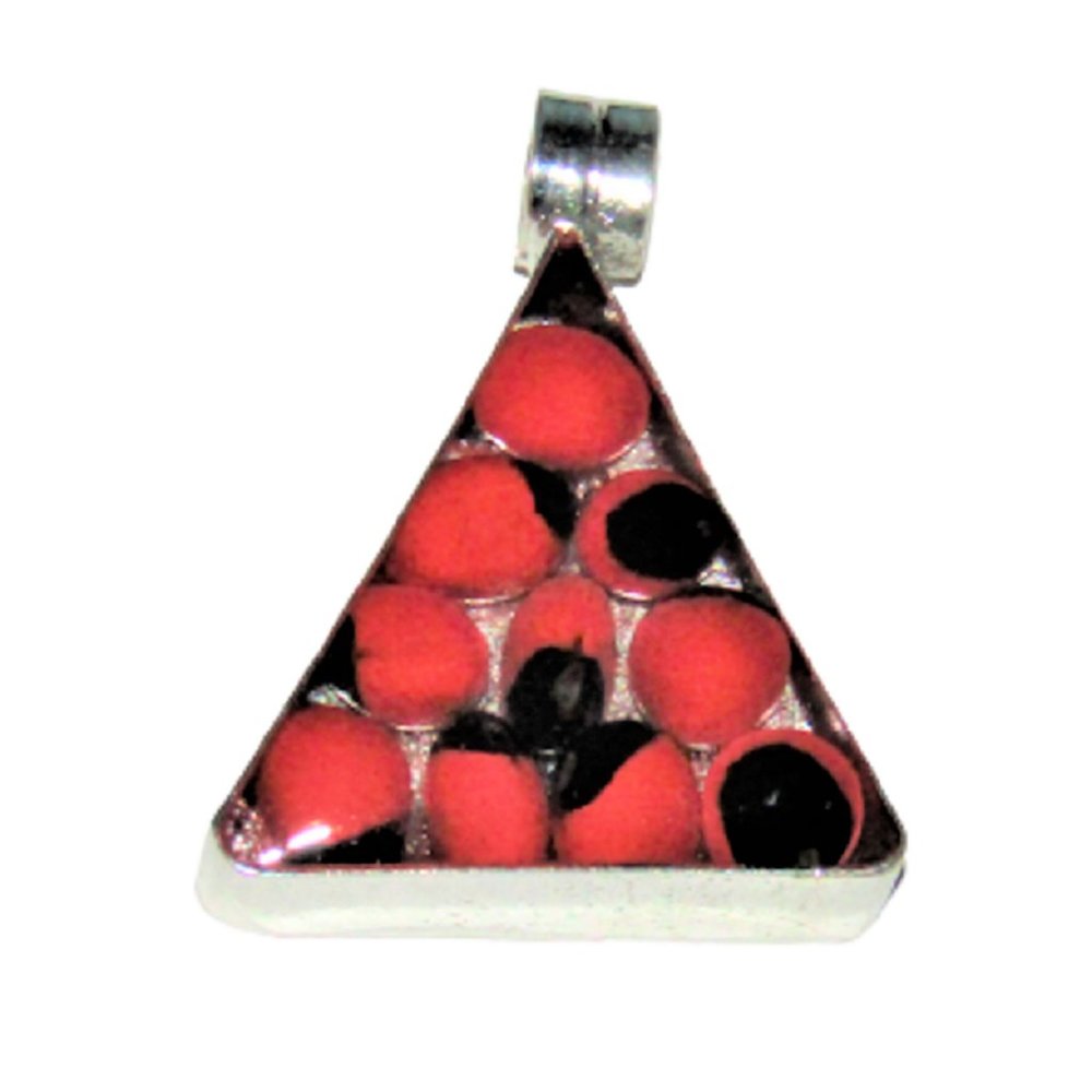 NWOT Beautiful Peruvian Triangle Huayruro Seeds Pendant OX-3VS6-AHZU